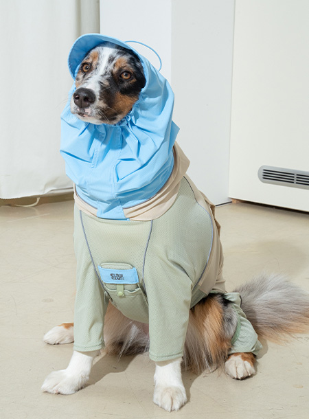 강아지 의류